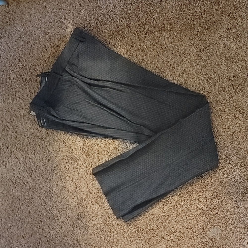 Express 10L dress pants
